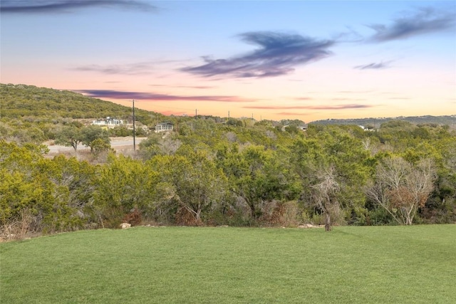 view of yard at dusk