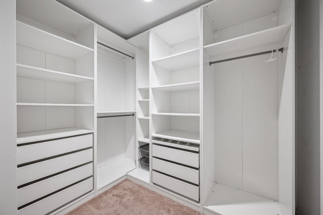 spacious closet with light colored carpet