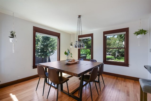 dining room featuring a wealth of natural light and light hardwood / wood-style flooring