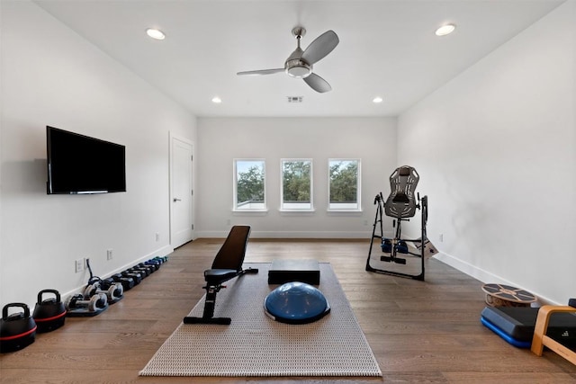 workout area featuring hardwood / wood-style flooring and ceiling fan