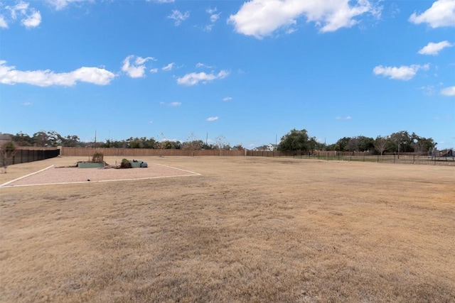 305 Miranda Way, Georgetown, TX 78633 - view of yard