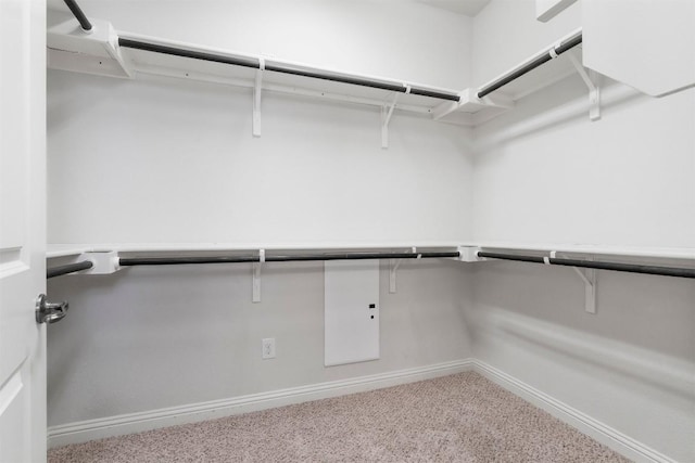 spacious closet featuring light carpet