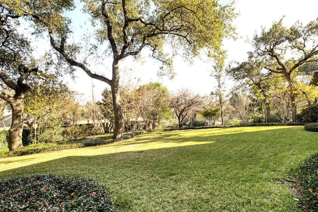 view of home's community with a yard