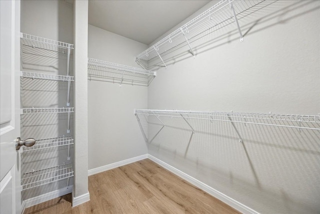 spacious closet with hardwood / wood-style flooring