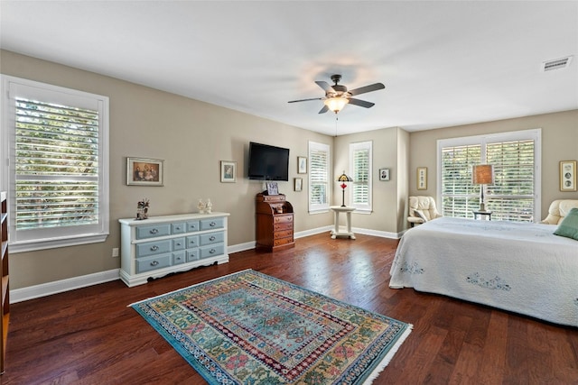 804 Laughing Dog Ct, Leander, TX 78641 - bedroom with multiple windows, wood finished floors, baseboards, and ceiling fan