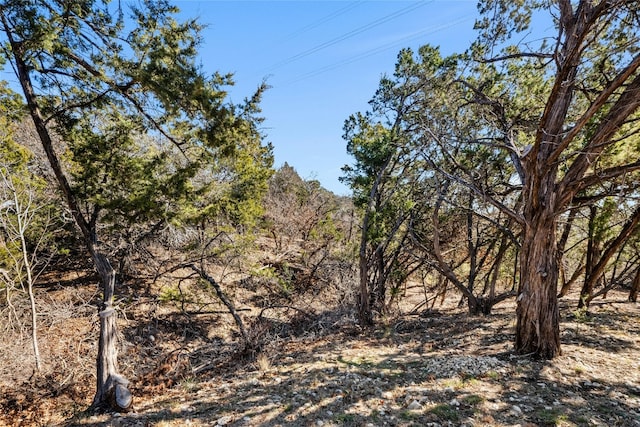 804 Laughing Dog Ct, Leander, TX 78641 - view of undeveloped land