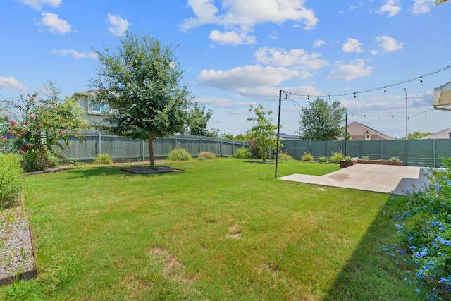 view of yard with a patio area