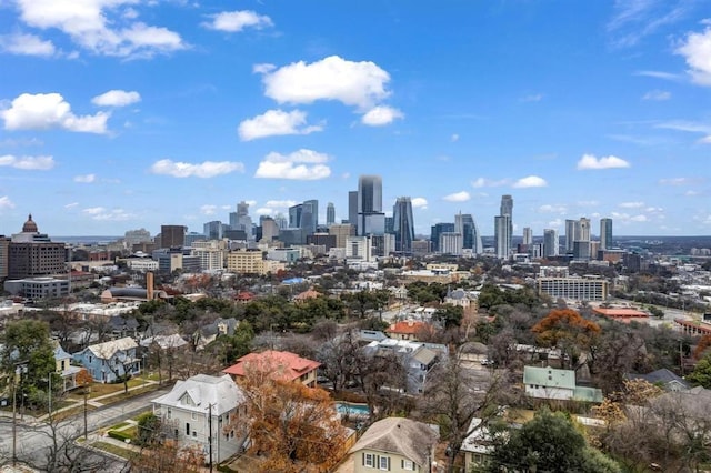 806 W 17th St Unit 5, Austin, TX 78701 - city view