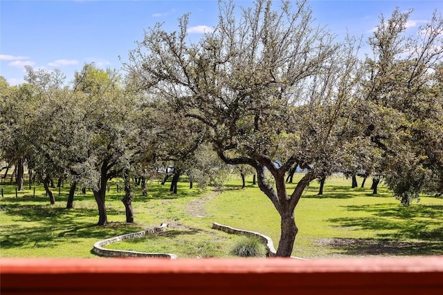 view of property's community featuring a lawn