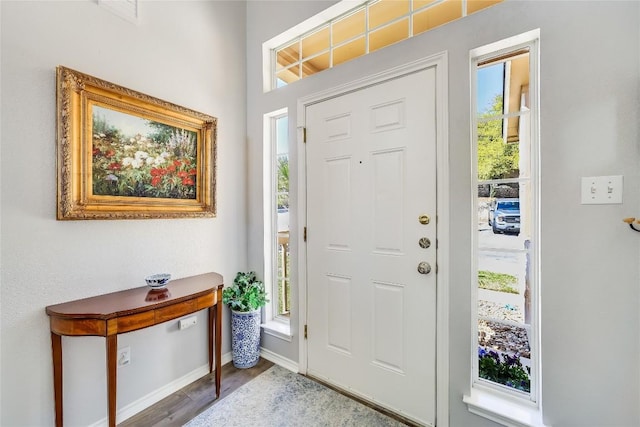 entryway featuring hardwood / wood-style flooring