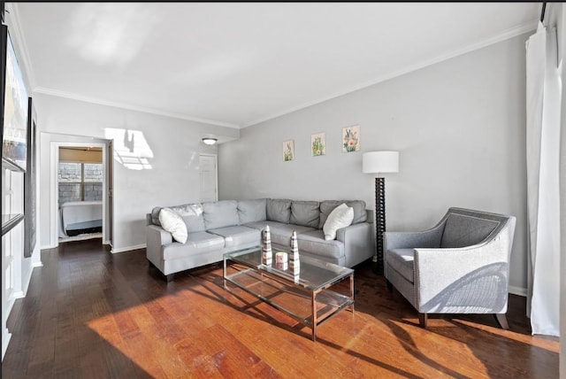 living room featuring crown molding and dark wood-type flooring