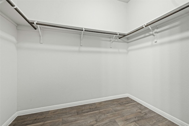 spacious closet featuring dark wood-type flooring