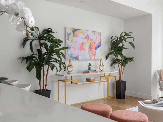 interior details featuring hardwood / wood-style flooring