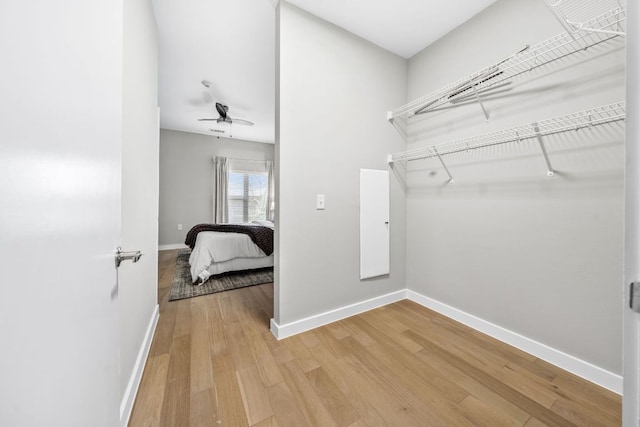 spacious closet featuring light wood-style flooring and a ceiling fan