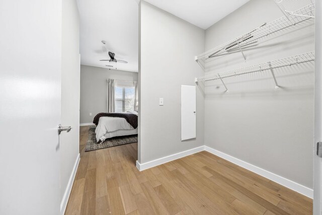 2505 Thornton Rd Unit 1110, Austin, TX 78704 - spacious closet featuring light wood-type flooring and a ceiling fan