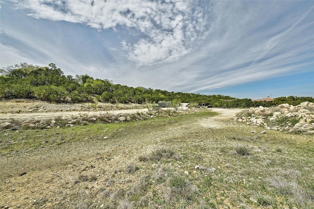 view of local wilderness