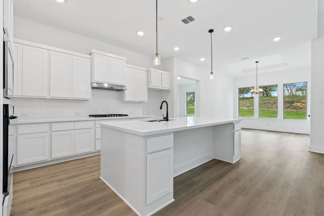 118 Bateleurfrey Cv, Cedar Creek, TX 78612 - kitchen with healthy amount of natural light, wood finished floors, a center island with sink, and recessed lighting