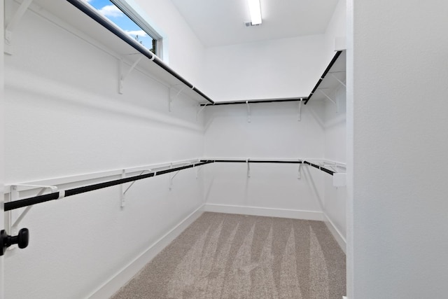 118 Bateleurfrey Cv, Cedar Creek, TX 78612 - spacious closet with light colored carpet
