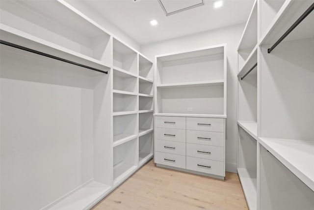 walk in closet with light hardwood / wood-style flooring