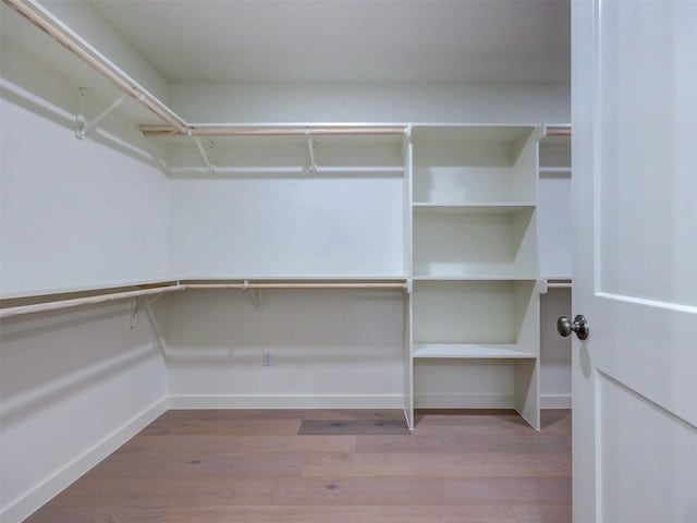 spacious closet featuring wood-type flooring