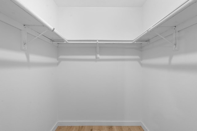 walk in closet with light wood-type flooring