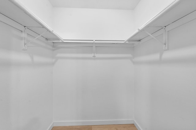 walk in closet featuring hardwood / wood-style flooring