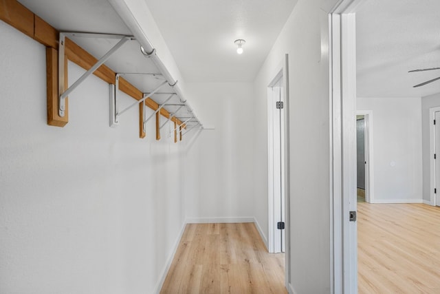 spacious closet with light hardwood / wood-style floors