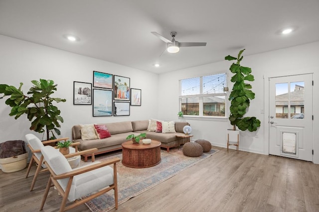 living room with ceiling fan, a wealth of natural light, and light wood-type flooring