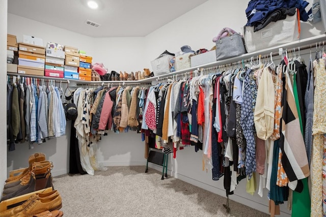 spacious closet featuring carpet floors