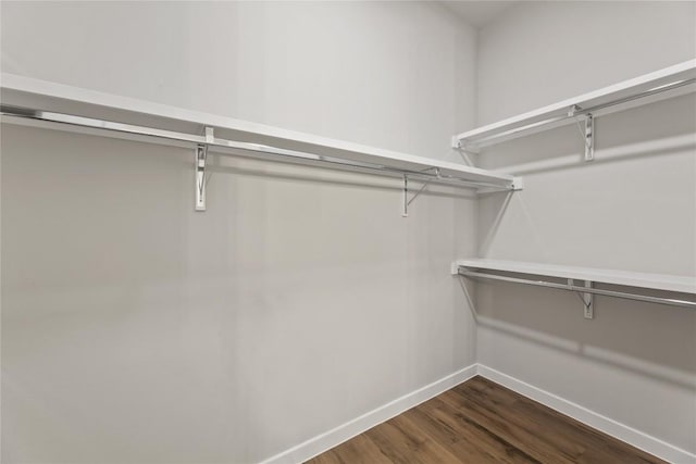 walk in closet featuring dark wood-type flooring