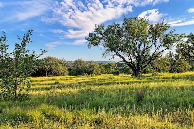 view of nature