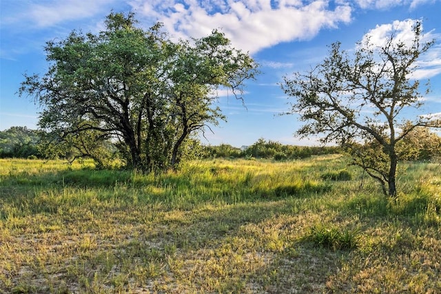 view of nature