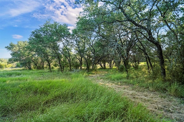 view of nature