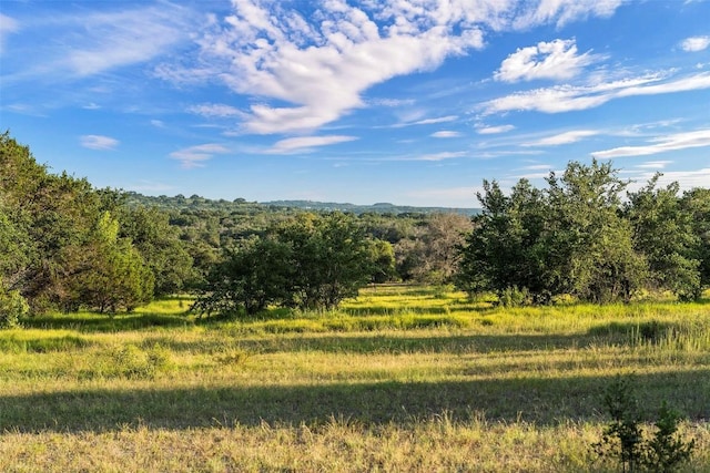 view of nature featuring a rural view