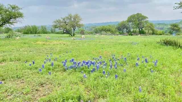 view of local wilderness with a rural view