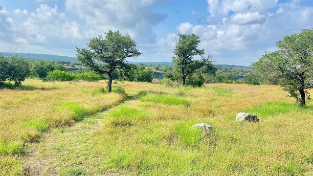 view of local wilderness featuring a rural view