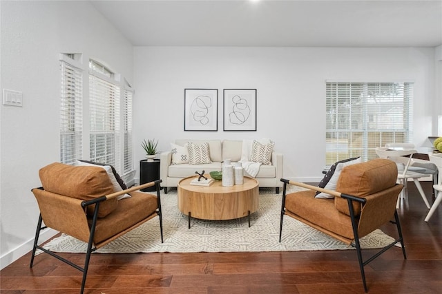 sitting room featuring a wealth of natural light and wood-type flooring