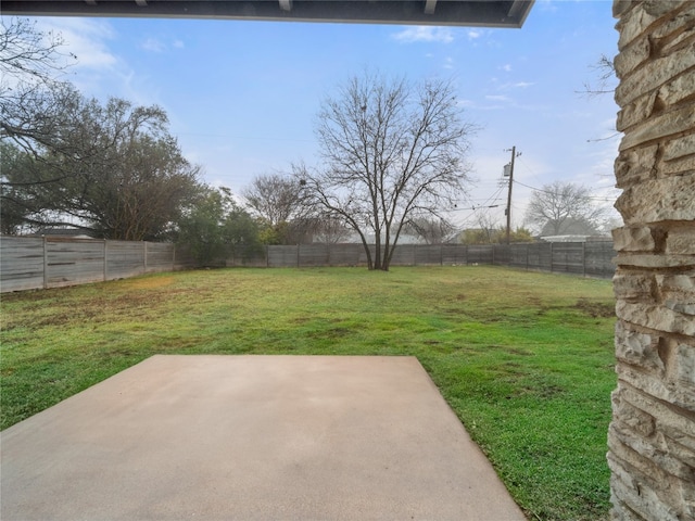 view of yard featuring a patio