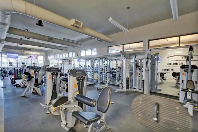 exercise room featuring a wealth of natural light