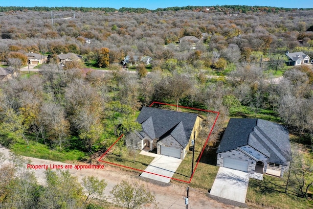 bird's eye view