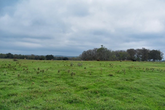 5615 Tenney Creek Rd, Luling TX, 78648 land for sale