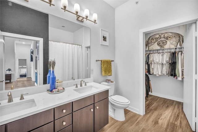 bathroom featuring vanity, wood-type flooring, a shower with shower curtain, and toilet