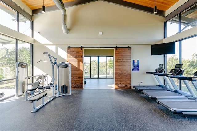 exercise room with high vaulted ceiling and a barn door