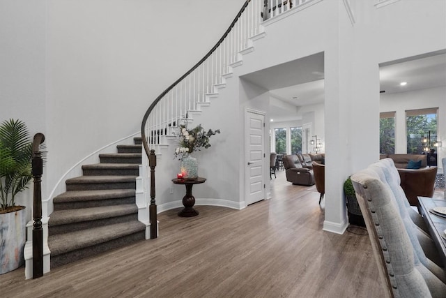 foyer entrance featuring hardwood / wood-style flooring, plenty of natural light, and a high ceiling