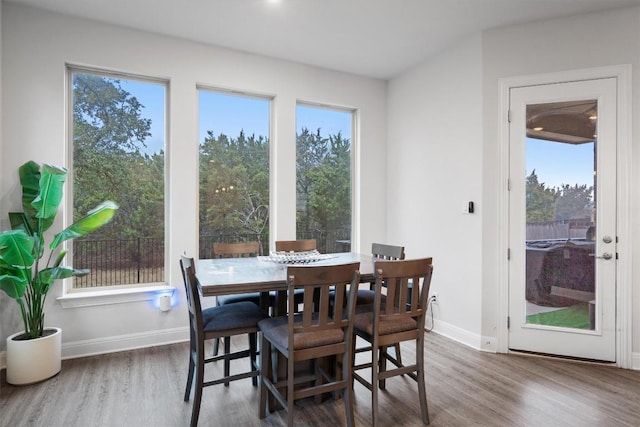 dining room with wood-type flooring