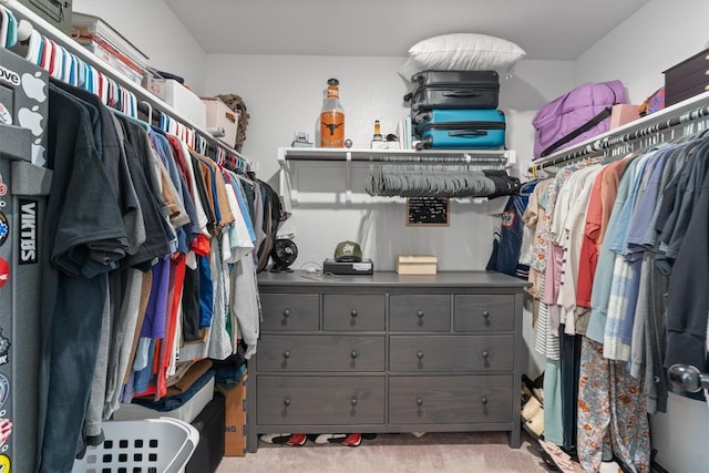 walk in closet with light carpet