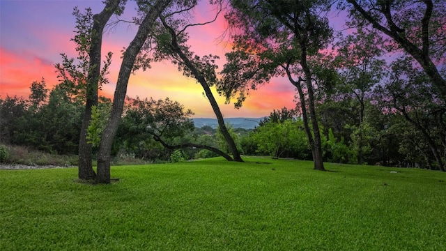 view of yard at dusk