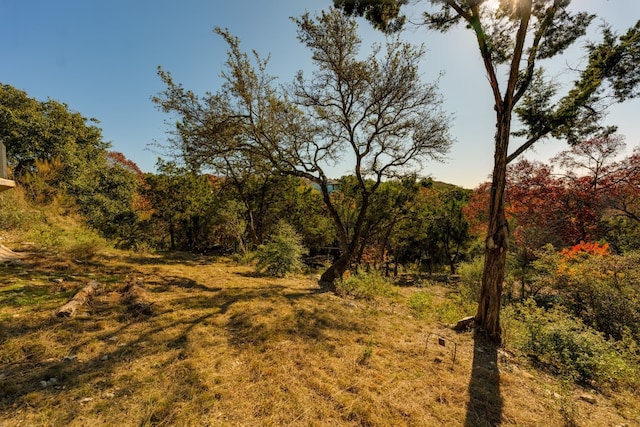 view of local wilderness