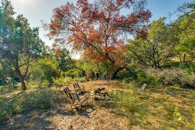 view of local wilderness