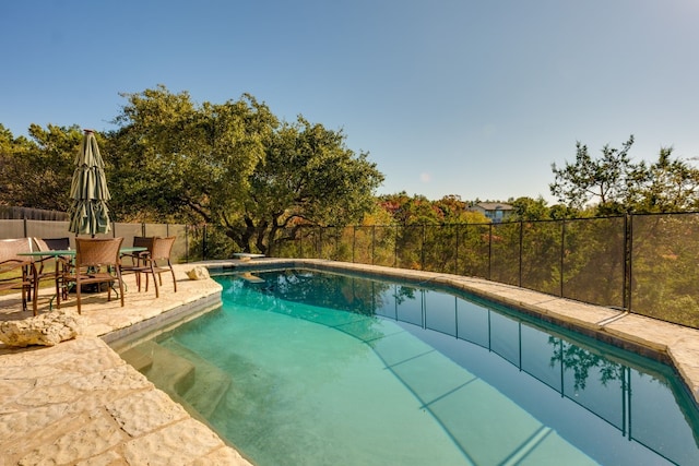 view of swimming pool with a patio area